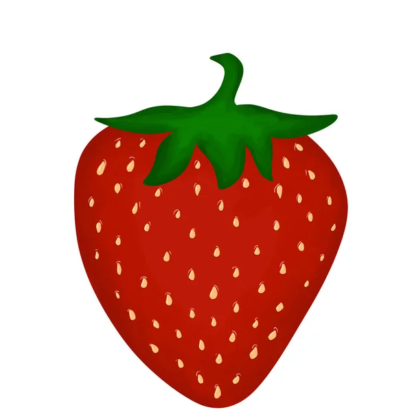 Rote Erdbeeren Haben Viele Samen — Stockfoto