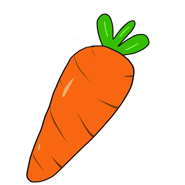 Narancs Sárgarépa Népszerű Hogy Főzni Különböző Ételeket — Stock Fotó