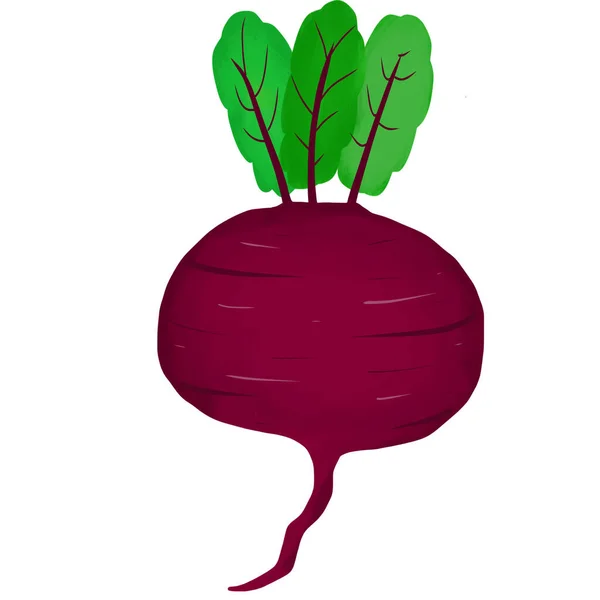 Beetroot Είναι Ένα Φυτό Στρογγυλά Φρούτα Σάρκα Του Είναι Κοκκινωπό — Φωτογραφία Αρχείου