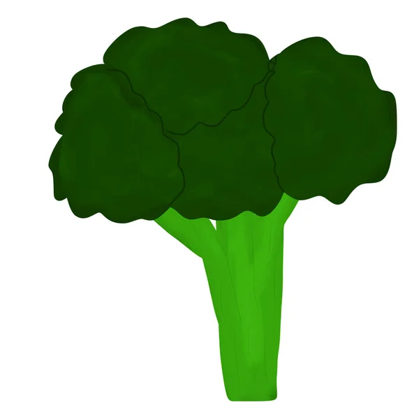 Brokoli Mantar Benzeri Bir Sebzedir Yemek Salata Için Ideal Bir — Stok fotoğraf