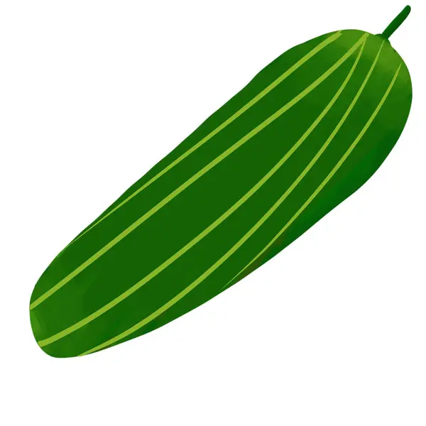 Cucumber Vegetable Green Skin White Flesh Bland Taste Can Used — Stock Photo, Image