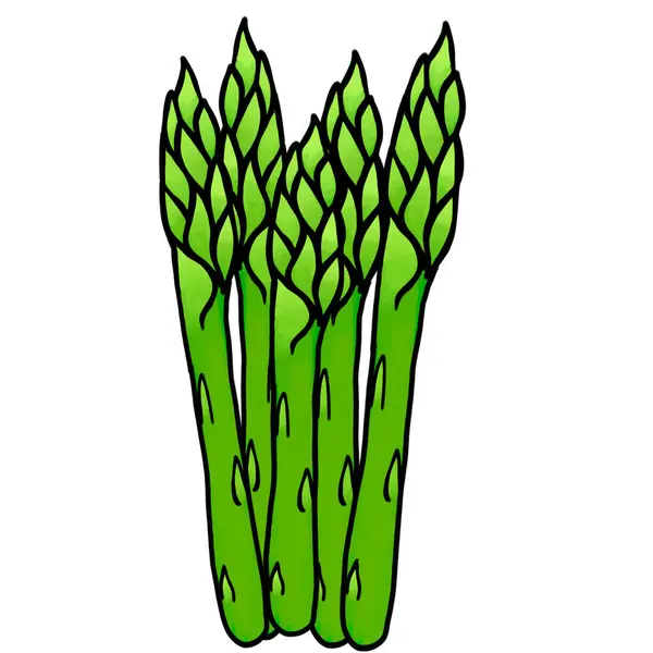 Słodkie Szparagi Warzywne Wiele Daniny Mogą Być Używane Gotowania Wiele — Zdjęcie stockowe
