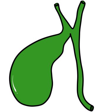 Safra kesesi yağı sindirmek için safra kesesi göndermekten sorumludur..