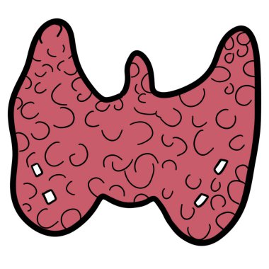Tiroit bezinin önemli bir işlevi vardır. Vücuttaki enerji metabolizmasını kontrol etmek için tiroid hormonu üretir..