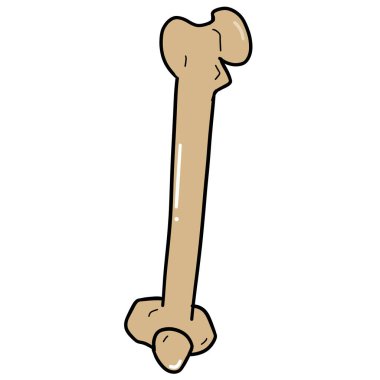 Beyaz arka plana yerleştirilmiş kalça kemiği.