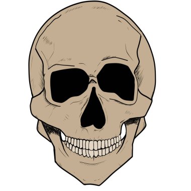 Beyaz arka plana yerleştirilmiş el kemikleri.