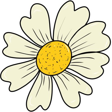 Beyaz arkaplana yerleştirilmiş beyaz çiçekler