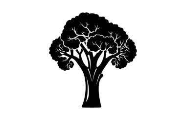 Brokoli siyah simgesi, beyaz arkaplanda izole edilmiş. Vektör illüstrasyonu.
