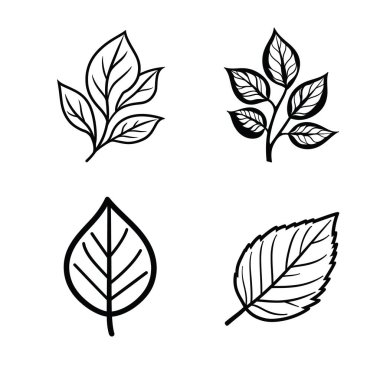 Bir yaprak koleksiyonu, basit botanik tasarımlar, şeffaf arkaplanda siyah yapraklar. Minimalist dekor, desenler ve eğitim materyalleri için ideal.