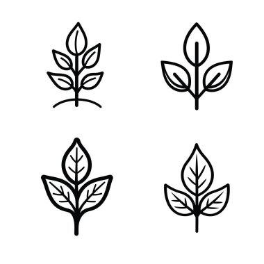Dört minimalist çizgi sanat eserinin koleksiyonu, her biri şeffaf arkaplan, doğal yapraklar ve basit simgeler içeren tasarımı terk eder.