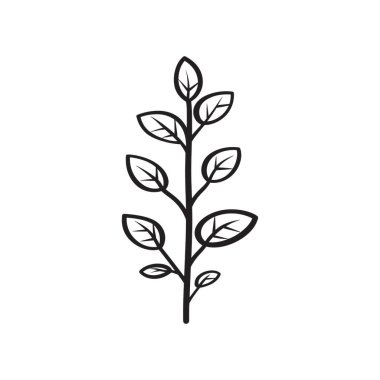 Bu bir bitki sapının minimalist çizimi. Simetrik, oval şekilli yapraklar, beyaz bir zemin üzerinde, merkezi saptan siyah bir ana hatla filizleniyor..