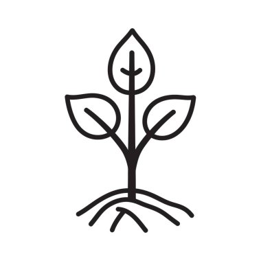 Minimalist sanat eserlerinde şeffaf bir arkaplan, yaprak yapısı ve kök sistemine karşı siyah çizilmiş bir bitki tasarımı yer alır. Bu tek bitki büyümenin, doğanın temalarını çağrıştırıyor..