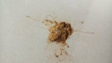 Seramikte kedi kumu var.