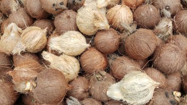 Soyulmuş Eski Hindistan Cevizi Yığını Kahverengi Cilt