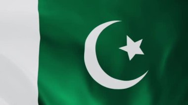 Pakistan bayrağı 3 boyutlu animasyon sallıyor. Pakistan bayrağı rüzgarda dalgalanıyor. Pakistan 'ın ulusal bayrağı. bayraksız döngü canlandırması