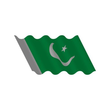 pakistan national waving flag vector Illustration design on white background clipart