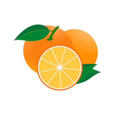 Tam ve Yarı Turuncu Vektör Tasarımı