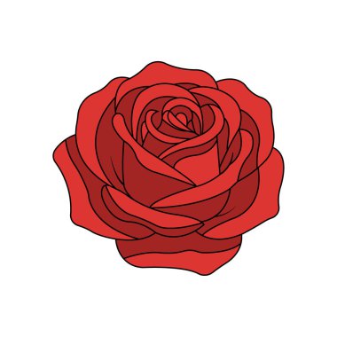 Beyaz arkaplan üzerinde izole gül çiçeği clipart vektör tasarımı