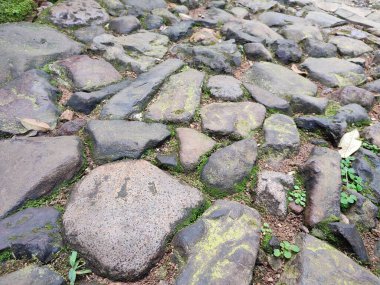 desen, desen, kayalık ve yosunlu yol arkaplanı