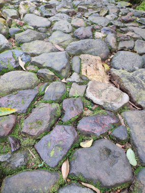 desen, desen, kayalık ve yosunlu yol arkaplanı