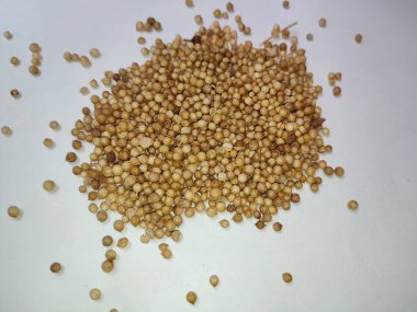 Beyaz arka planda izole edilmiş taze kişniş tohumları yığını