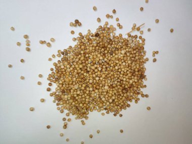 Beyaz arka planda izole edilmiş taze kişniş tohumları yığını