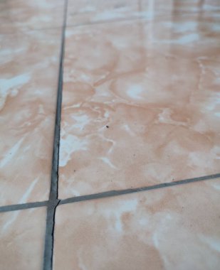 Yüksek çözünürlüklü döşeme ve şablon arka planı