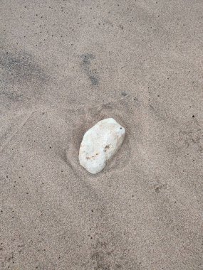 Large white sea rock on the beach clipart