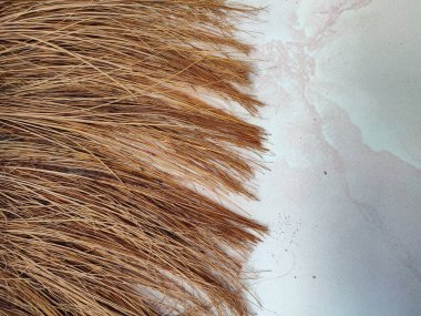 İşlenmiş ve kullanılmaya hazır hindistan cevizi lifleri bulaşık yıkama, ekme medyası, halatlar ve ısıya dayanıklı malzemeler için kullanılabilir