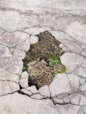 Kırık parçalar yosunla kaplanana kadar duvarlar zarar görür ve kırılır.