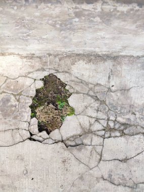 Kırık parçalar yosunla kaplanana kadar duvarlar zarar görür ve kırılır.