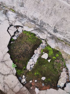 Kırık parçalar yosunla kaplanana kadar duvarlar zarar görür ve kırılır.