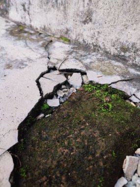 Kırık parçalar yosunla kaplanana kadar duvarlar zarar görür ve kırılır.