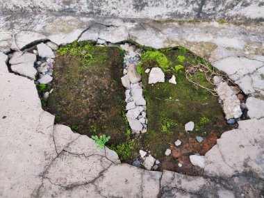 Kırık parçalar yosunla kaplanana kadar duvarlar zarar görür ve kırılır.