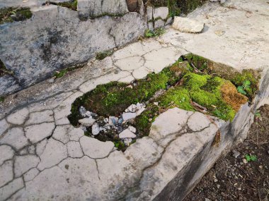 Kırık parçalar yosunla kaplanana kadar duvarlar zarar görür ve kırılır.