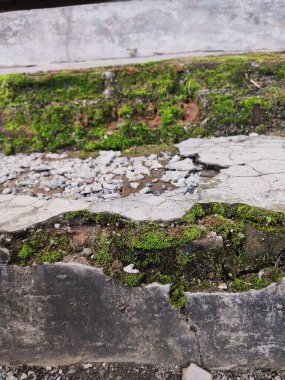 Kırık parçalar yosunla kaplanana kadar duvarlar zarar görür ve kırılır.