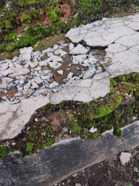 Kırık parçalar yosunla kaplanana kadar duvarlar zarar görür ve kırılır.