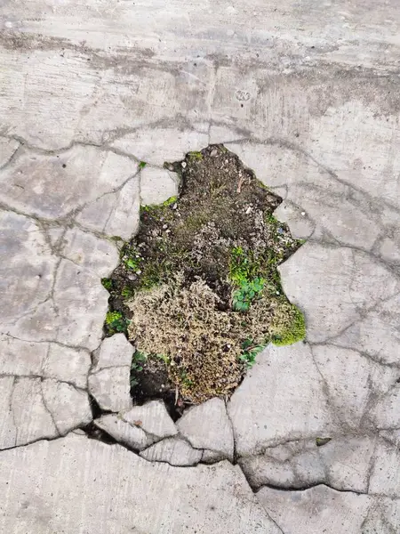 Kırık parçalar yosunla kaplanana kadar duvarlar zarar görür ve kırılır.