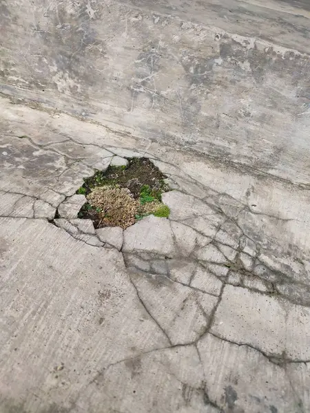 Kırık parçalar yosunla kaplanana kadar duvarlar zarar görür ve kırılır.