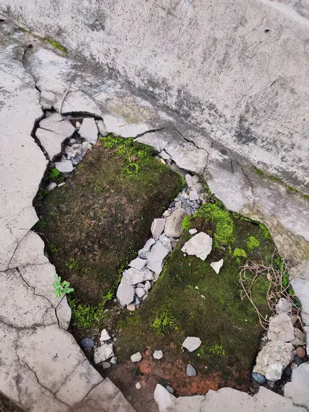 Kırık parçalar yosunla kaplanana kadar duvarlar zarar görür ve kırılır.