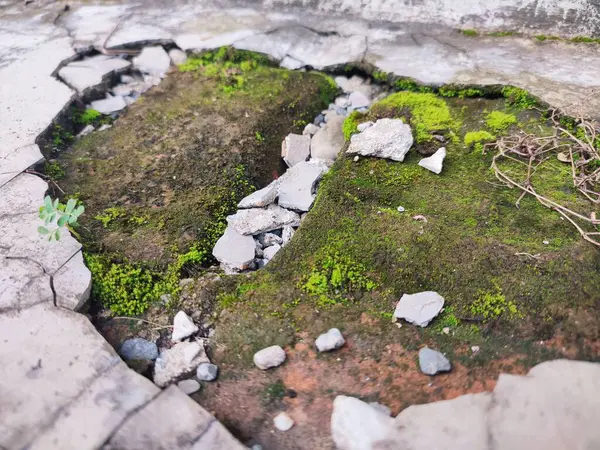 Kırık parçalar yosunla kaplanana kadar duvarlar zarar görür ve kırılır.