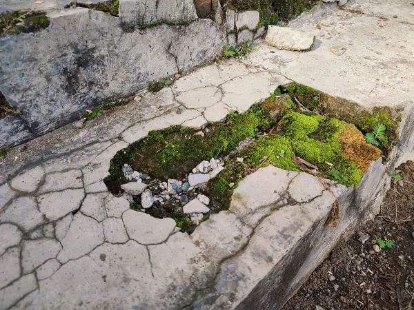 Kırık parçalar yosunla kaplanana kadar duvarlar zarar görür ve kırılır.