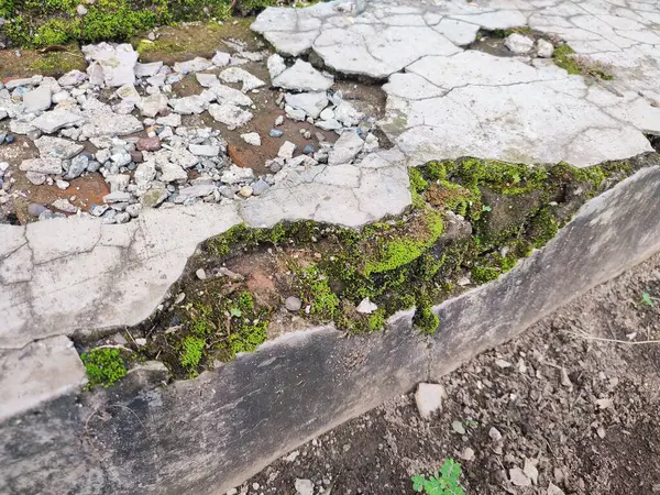 Kırık parçalar yosunla kaplanana kadar duvarlar zarar görür ve kırılır.