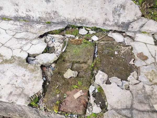 Kırık parçalar yosunla kaplanana kadar duvarlar zarar görür ve kırılır.