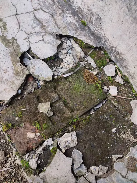 Kırık parçalar yosunla kaplanana kadar duvarlar zarar görür ve kırılır.