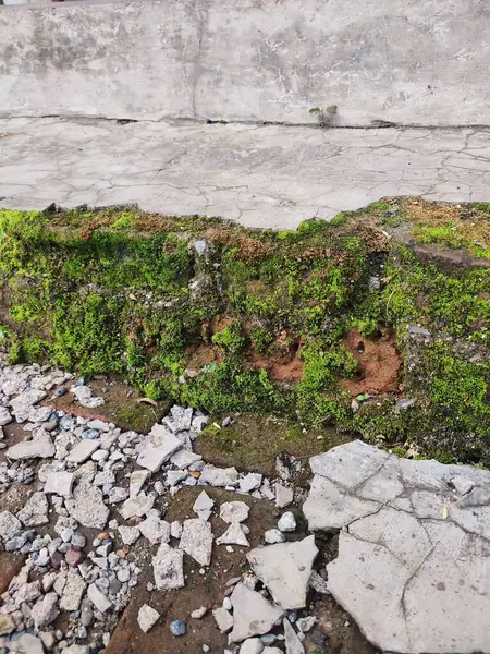 Kırık parçalar yosunla kaplanana kadar duvarlar zarar görür ve kırılır.