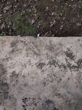 Asfalt ve toprak arkaplanı yosun, kaya ve kağıt parçalarıyla dolu.