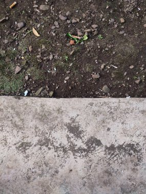 Asfalt ve toprak arkaplanı yosun, kaya ve kağıt parçalarıyla dolu.