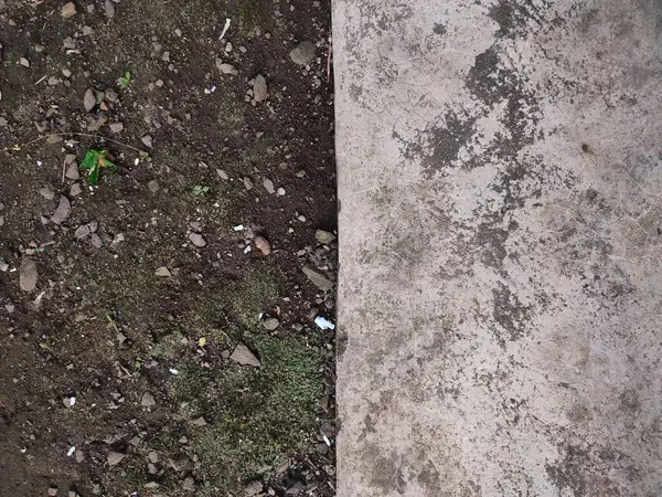 Asfalt ve toprak arkaplanı yosun, kaya ve kağıt parçalarıyla dolu.