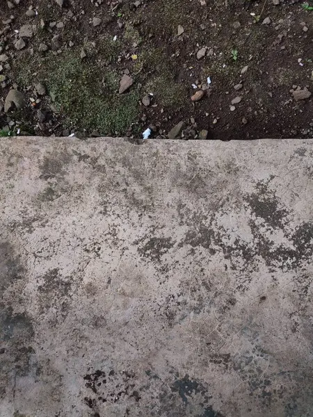 Asfalt ve toprak arkaplanı yosun, kaya ve kağıt parçalarıyla dolu.